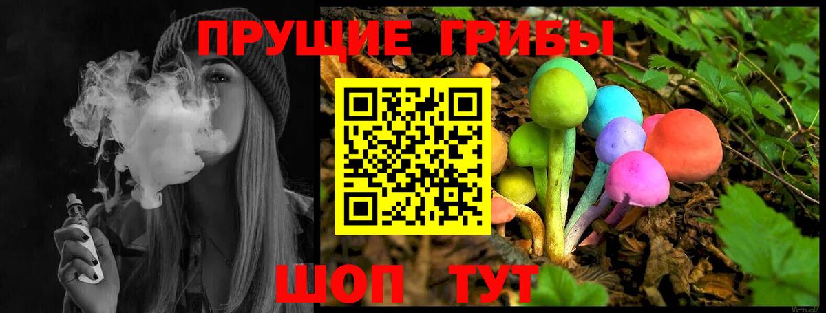 что такое наркотик  Вход с VPN  Азнакаево  Галлюциногенные грибы Psilocybe 